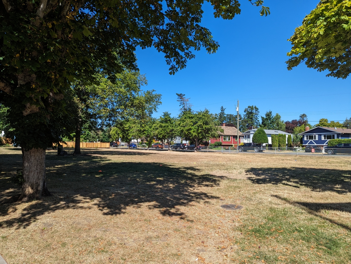 Memorial Park with dry grass