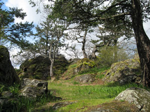 Highrock Park Esquimalt