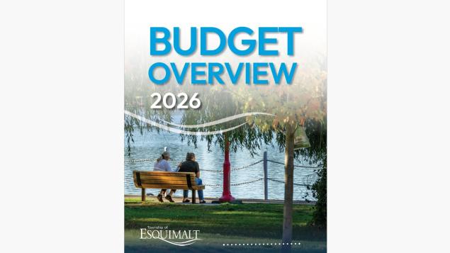 2026 budget book cover