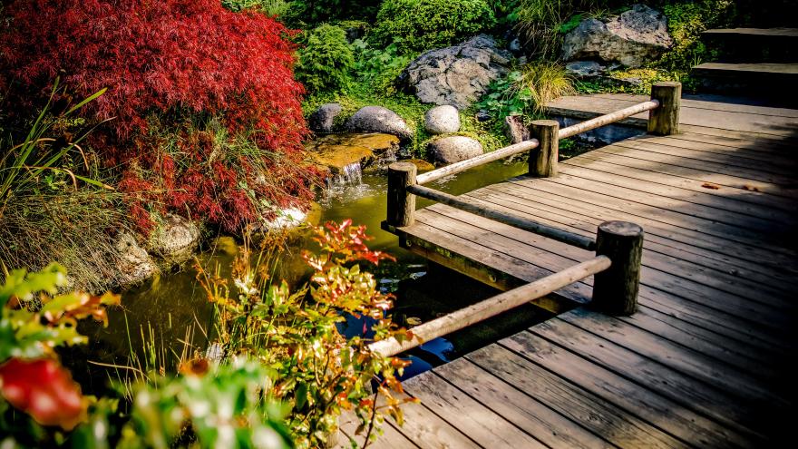 Wooden walkway