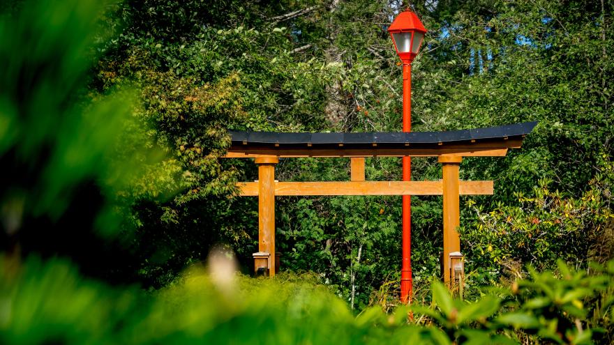 Torii gate