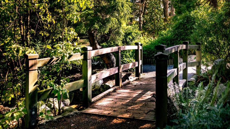 wooden footbridge in park