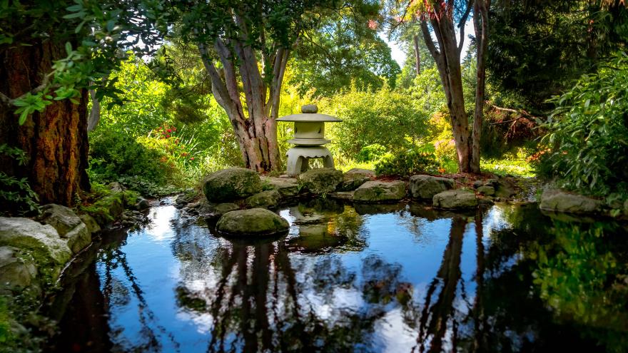 reflecting pond