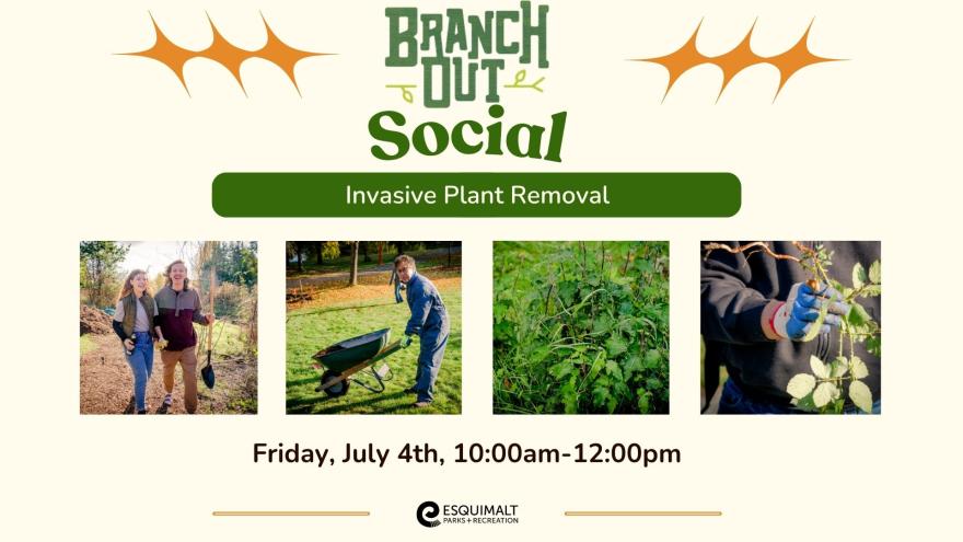 Branch Out Social 2025-July